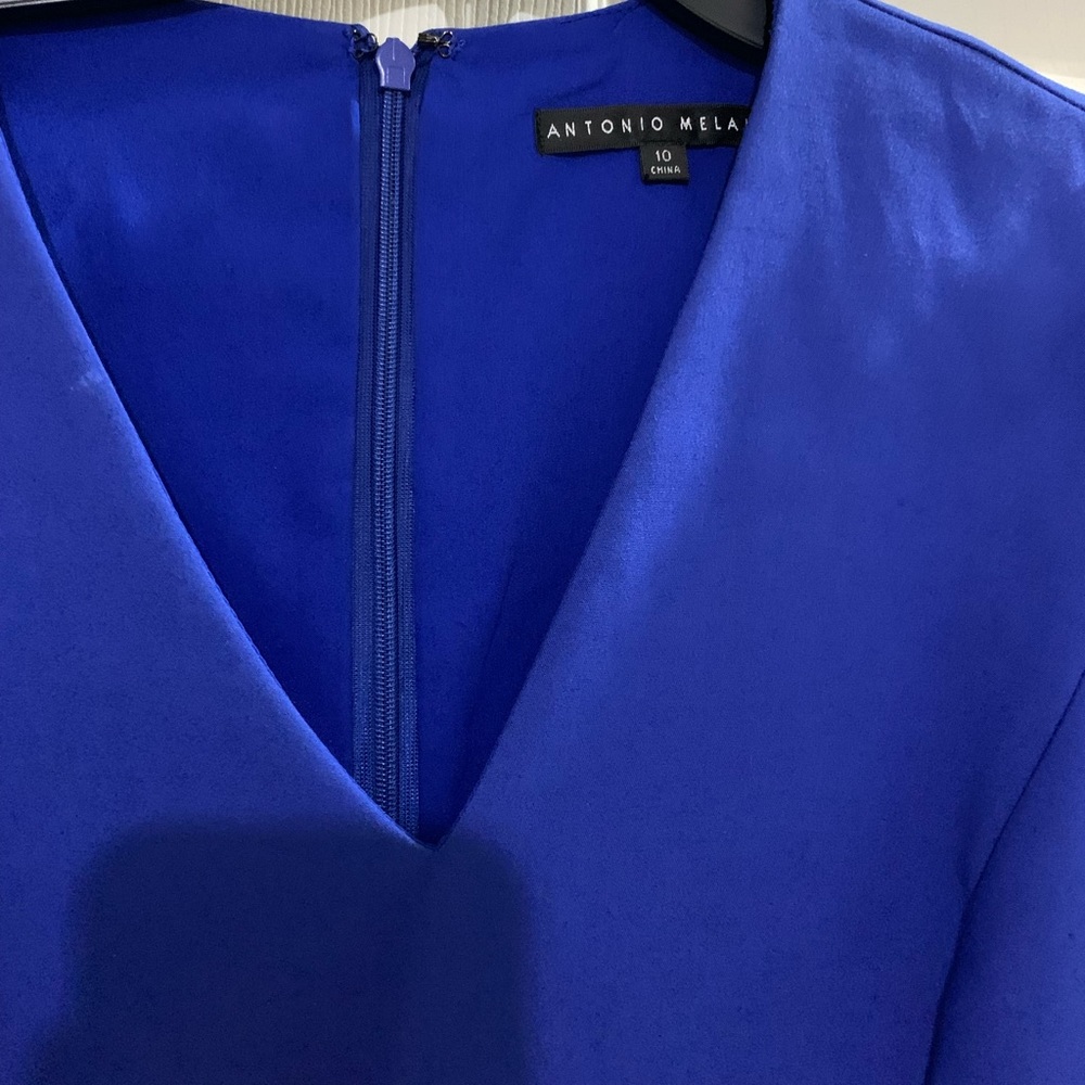 Royal Blue Antonio Melani Dress